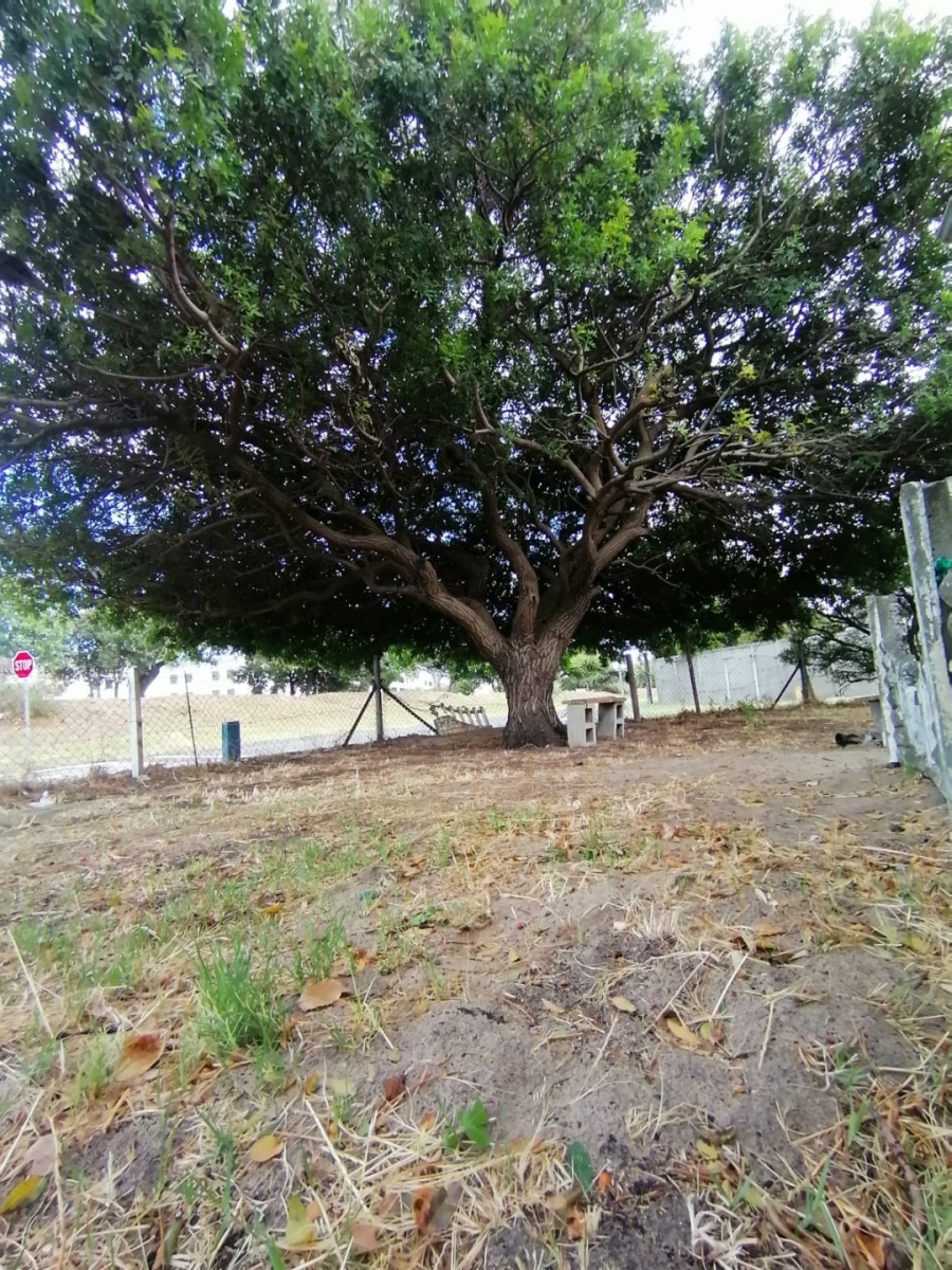 To Let  Bedroom Property for Rent in Ruyterwacht Western Cape